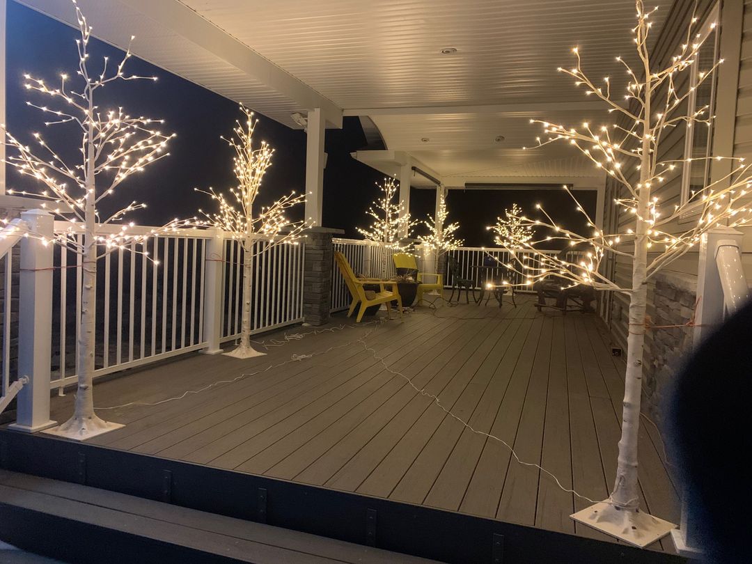 LED BIRCH TREES