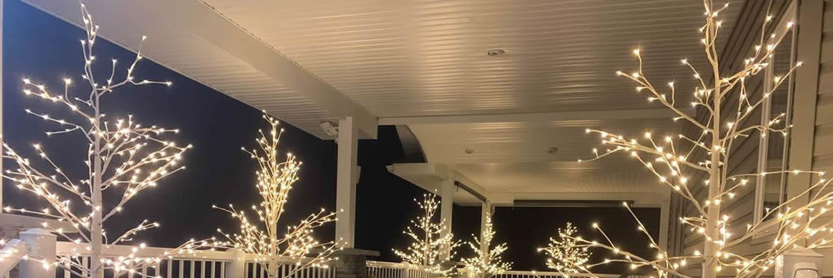 LED BIRCH TREES